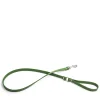 Daylesford Organic Apple Leather Lead Green