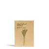 Daylesford Organic Leek Bandit Seeds