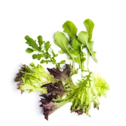 Daylesford Organic Market Garden Mixed Salad Leaves