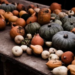 Daylesford Organic Market Garden Mixed Squash