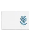 Daylesford Organic Nila Indigo Plant Placemat