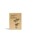 Daylesford Organic Phacelia Seeds